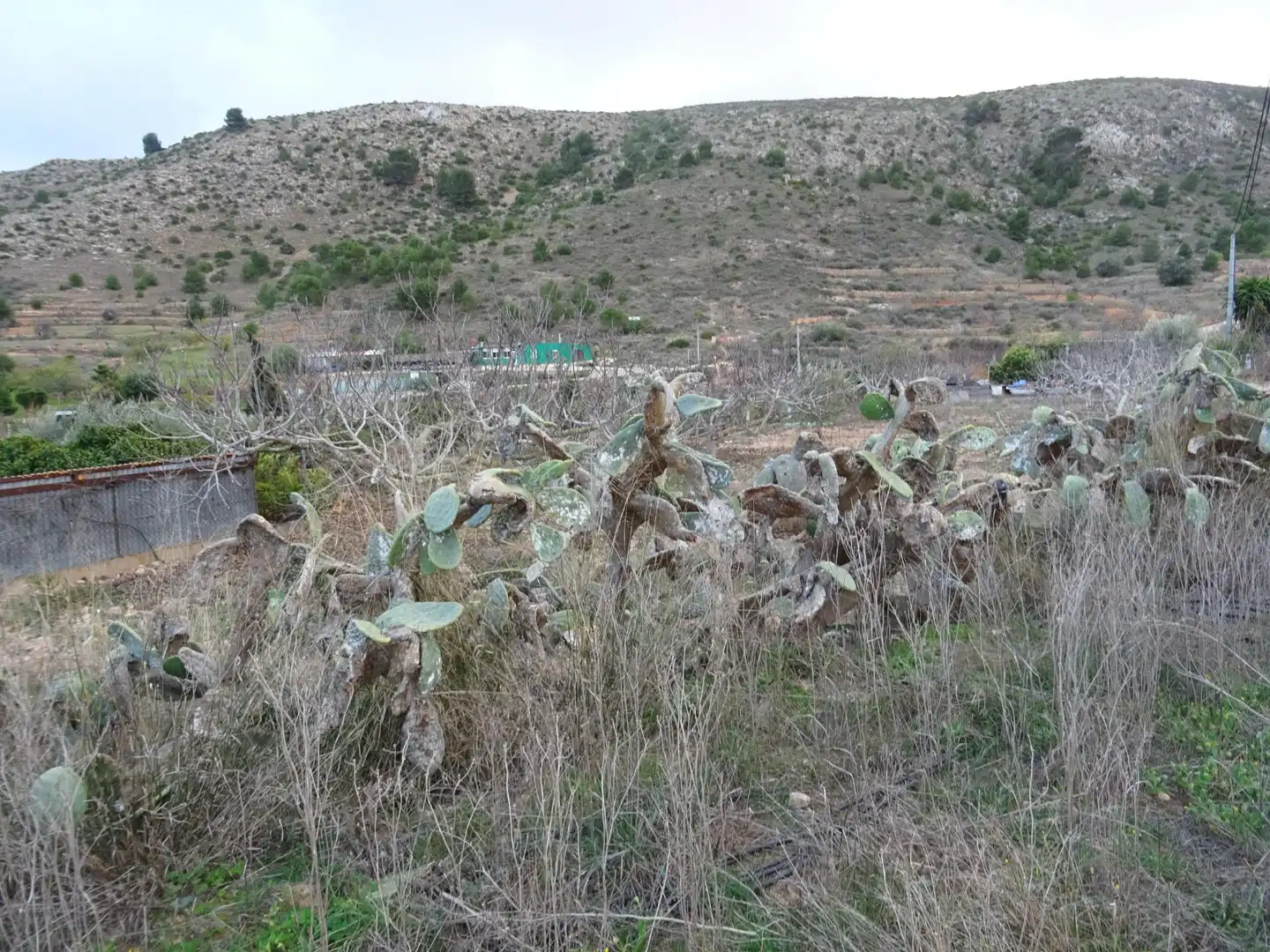 Casa rústica amb piscina en venda a Pedanías Oeste, imagen 41