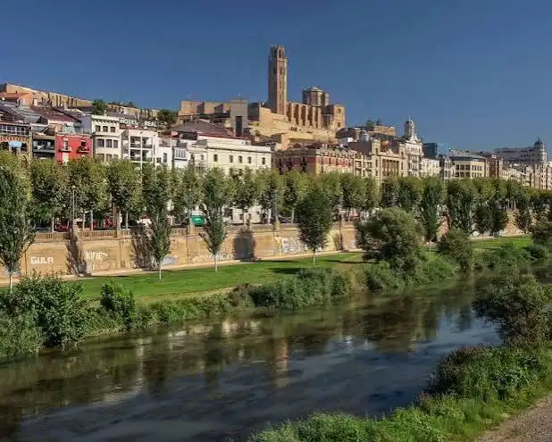 Exterior view of Buildings for sale in La Bordeta