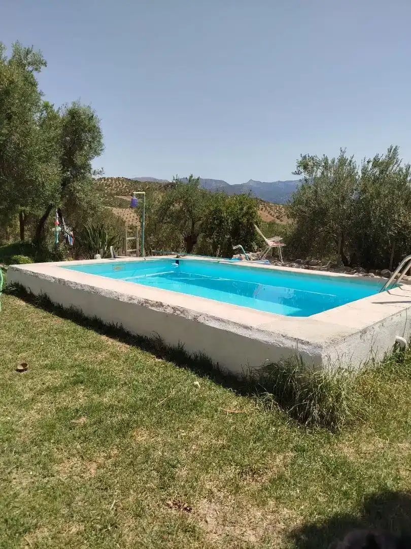 Piscina de Casa o chalet en venta en Algodonales con Jardín privado, Piscina y Amueblado