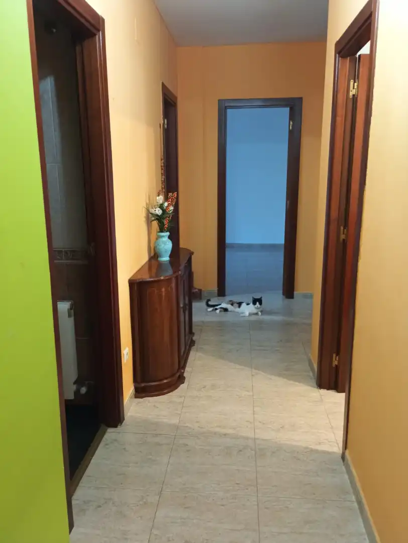 Xalet en venda a Muelas del Pan, imagen 3