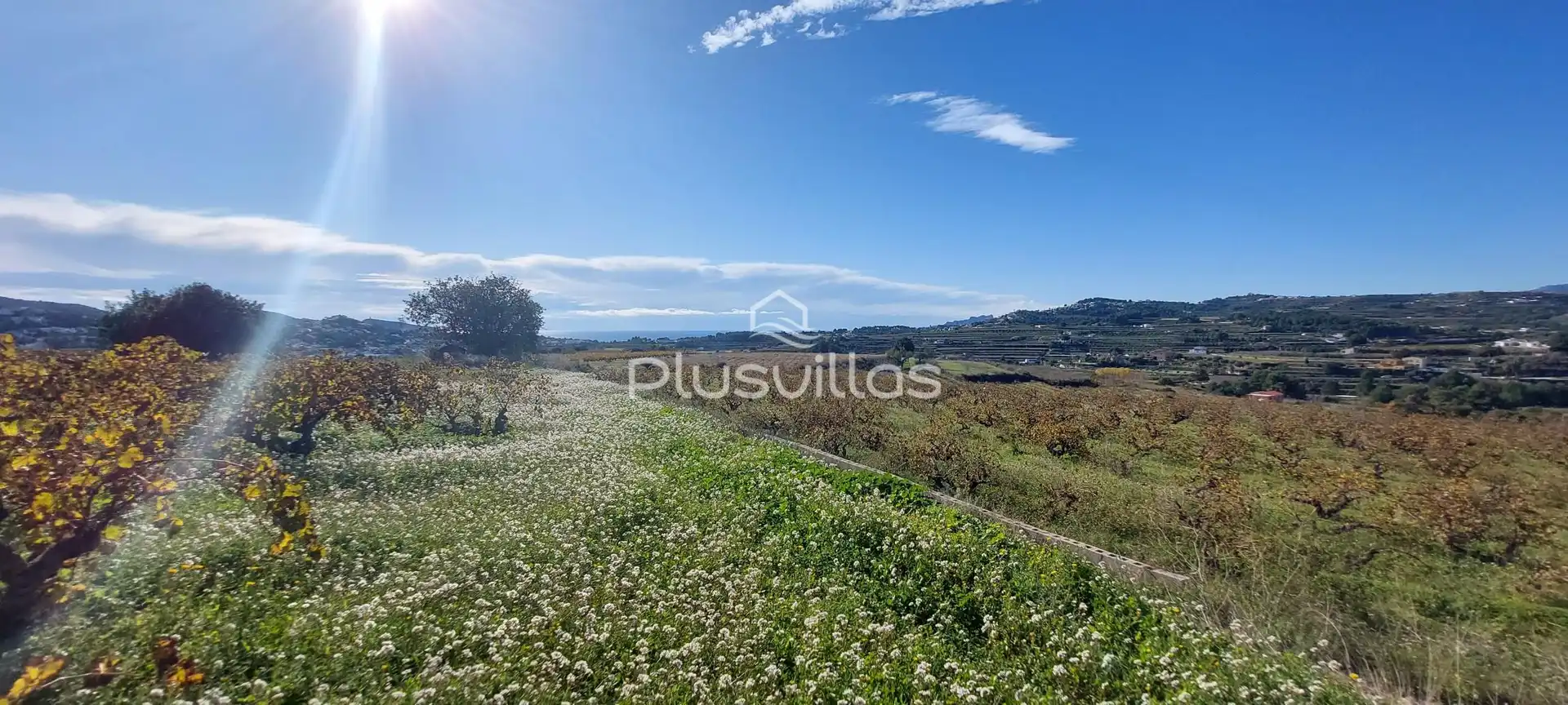 Terrenys i solars en venda a Teulada, imagen 4