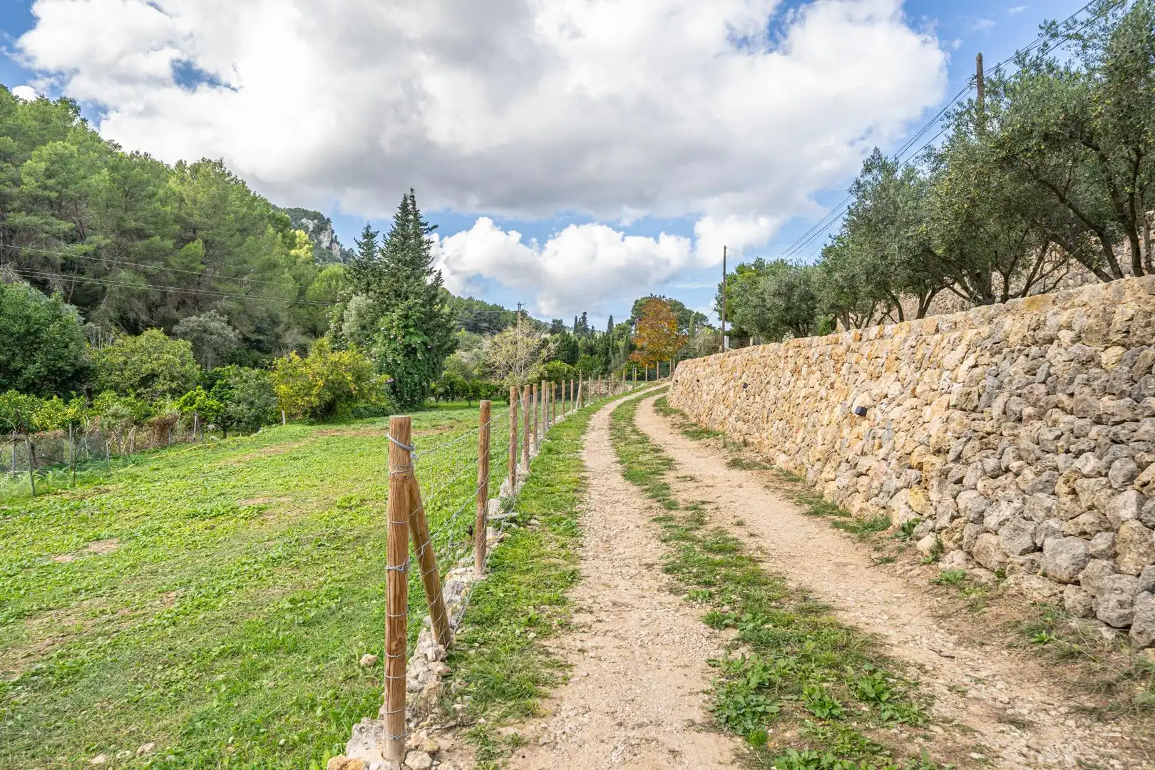 Country house with garden for sale in Costa de son Trias 1, imagen 41