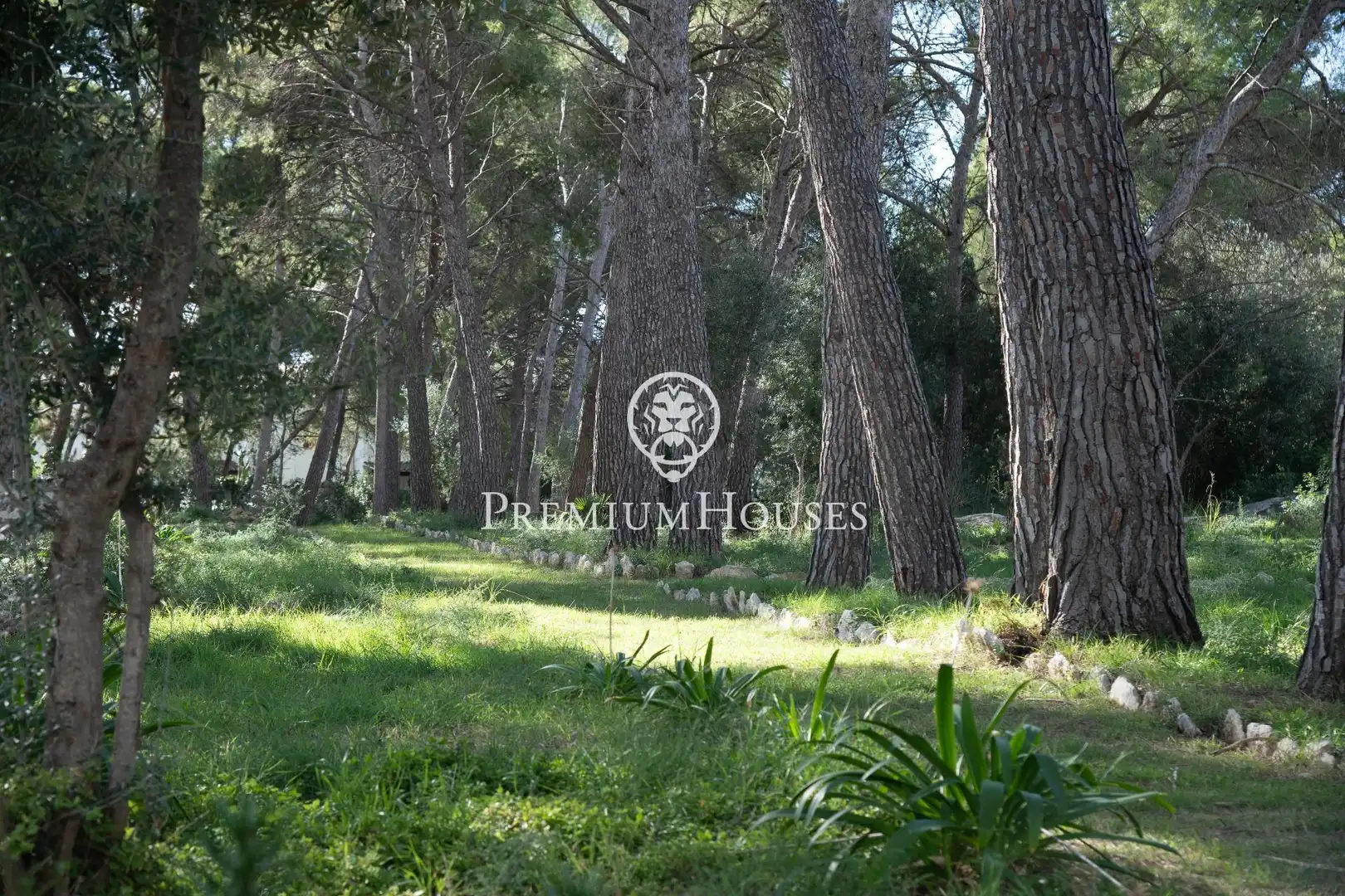 Residential land for sale in Els Munts, imagen 61