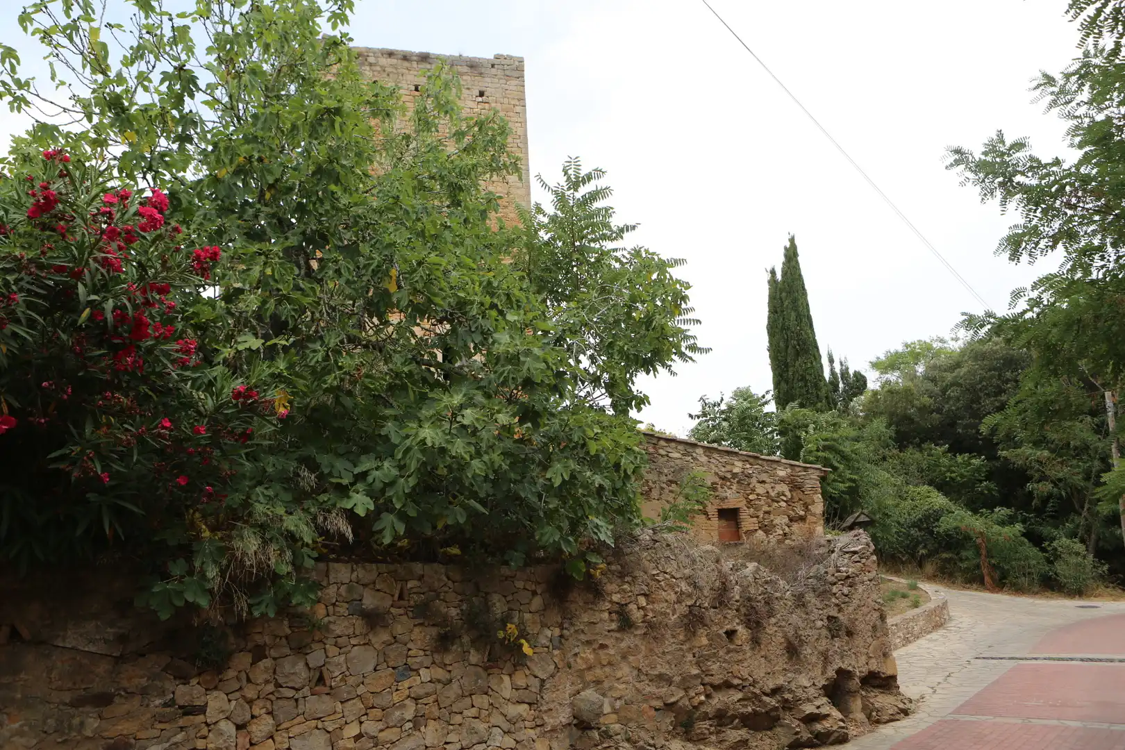 Vista exterior de Finca rústica en venda en Begur amb Jardí privat