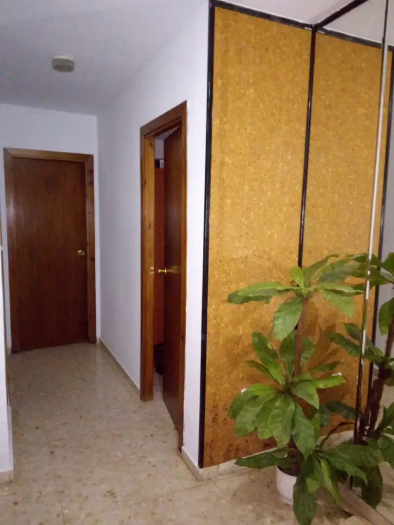 Flat for rent in Granada  with Heating, Furnished and Oven