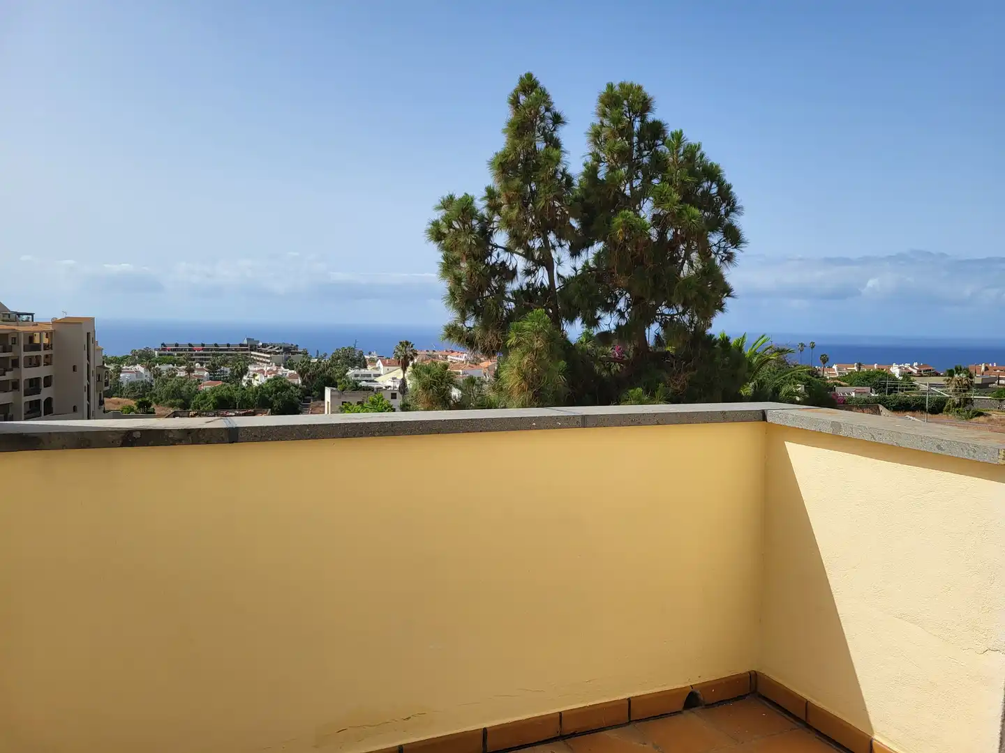 House with terrace for sale in Zona Botánico, imagen 29