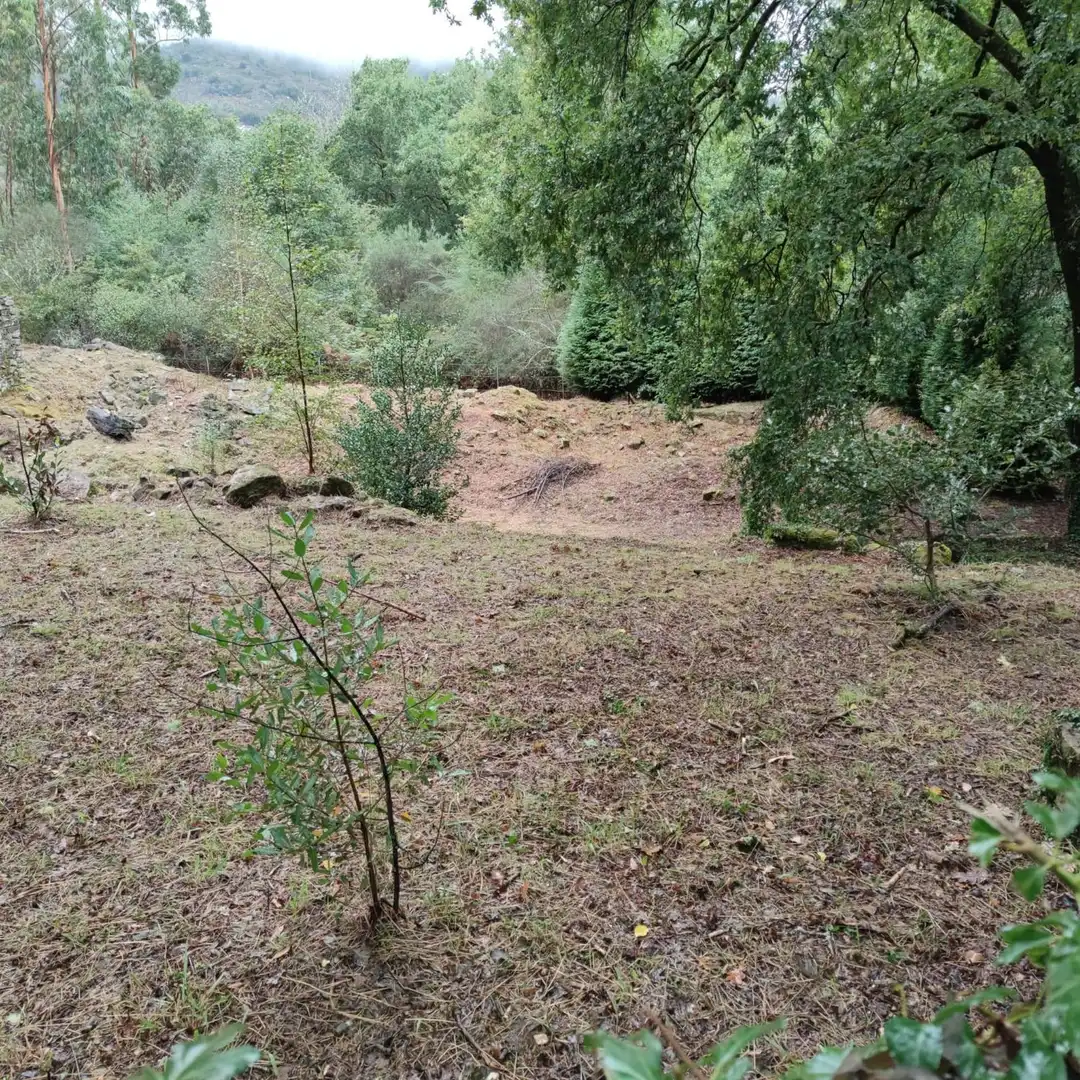 Land for sale in Cotobade