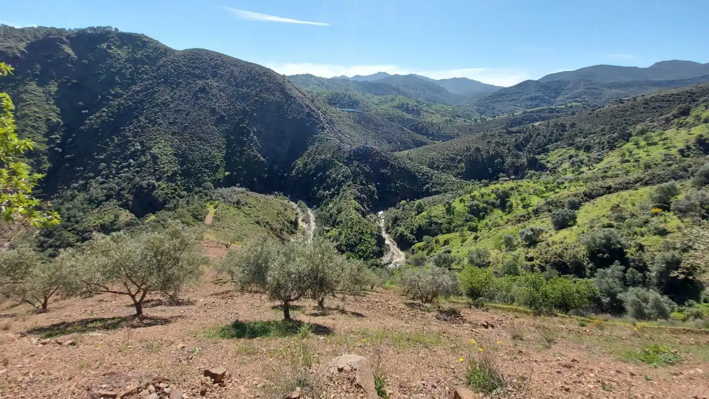 Terreni e lotti in vendita a Monda