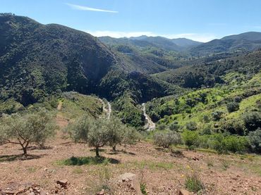 Terreny rústic en venda a Monda