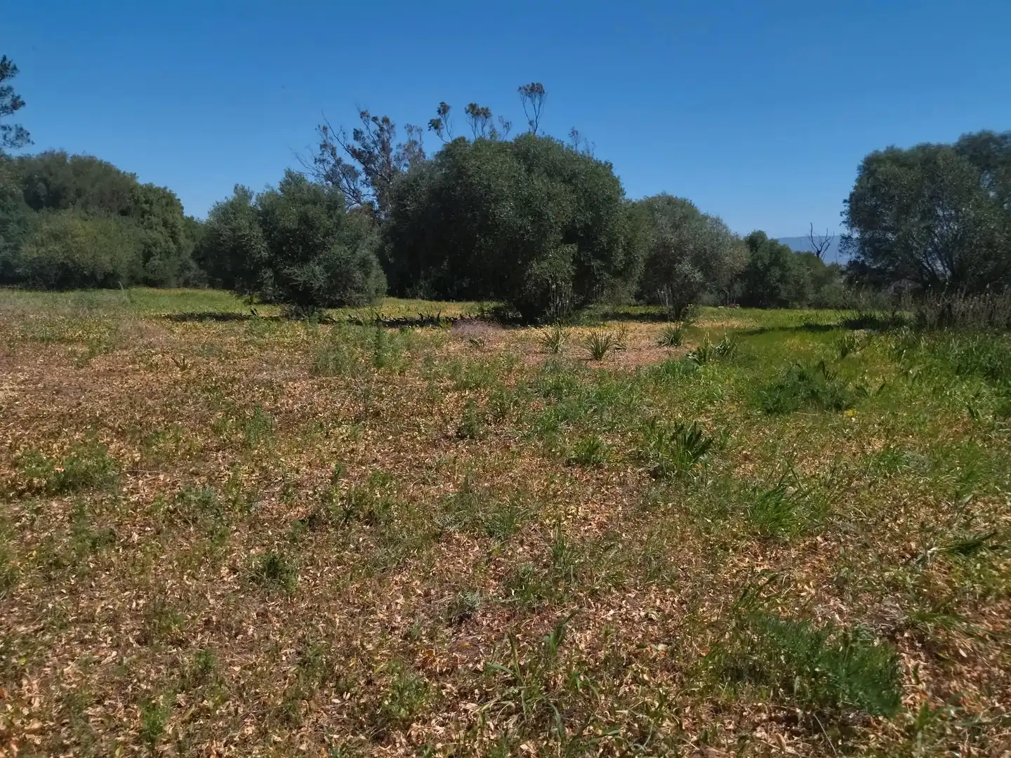 Casa rústica amb jardí en venda a N/A, imagen 26