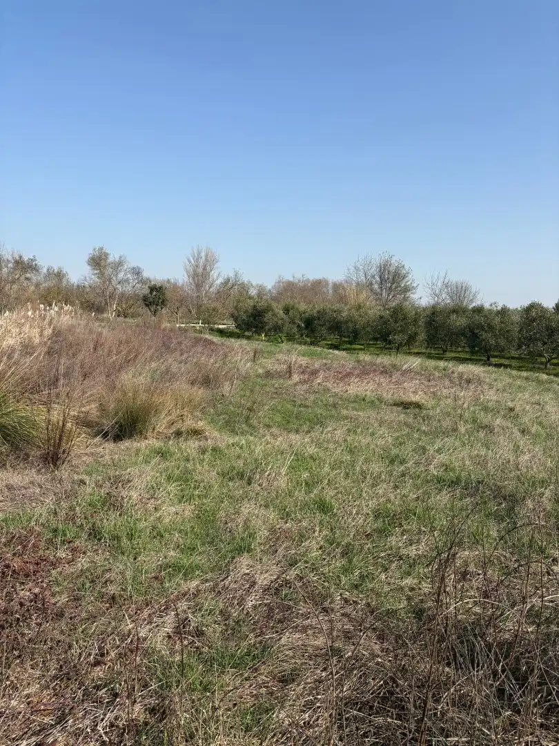 Rural land for sale in Agoncillo, imagen 6