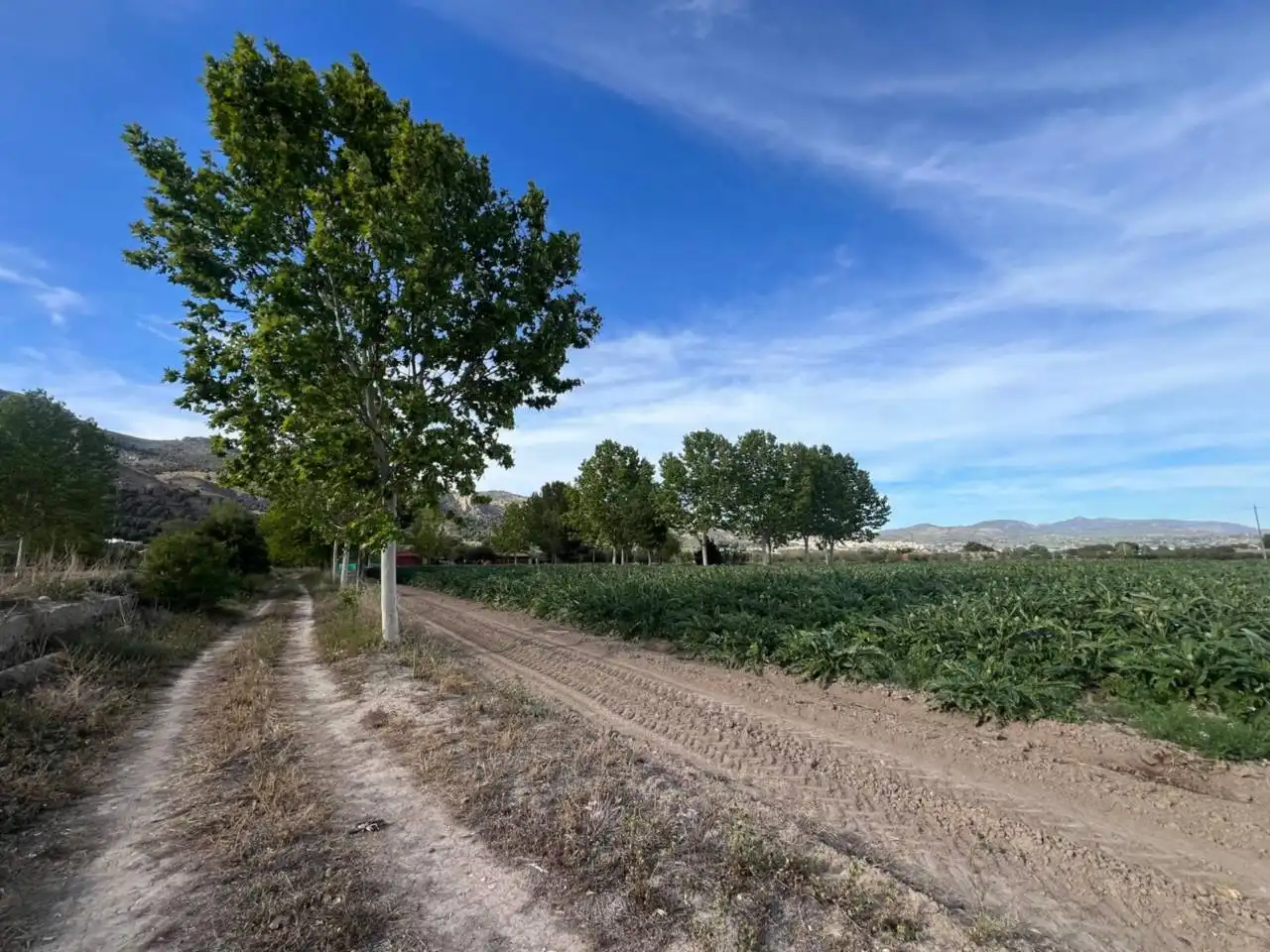 Terreny rústic en venda a Castalla, imagen 8