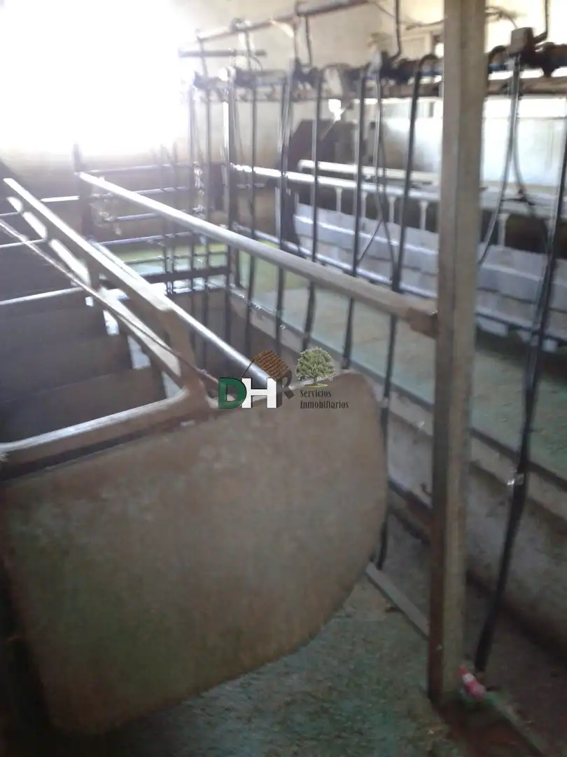 Terrenys i solars en venda a Los Cigarrales - La Bastida, imagen 4