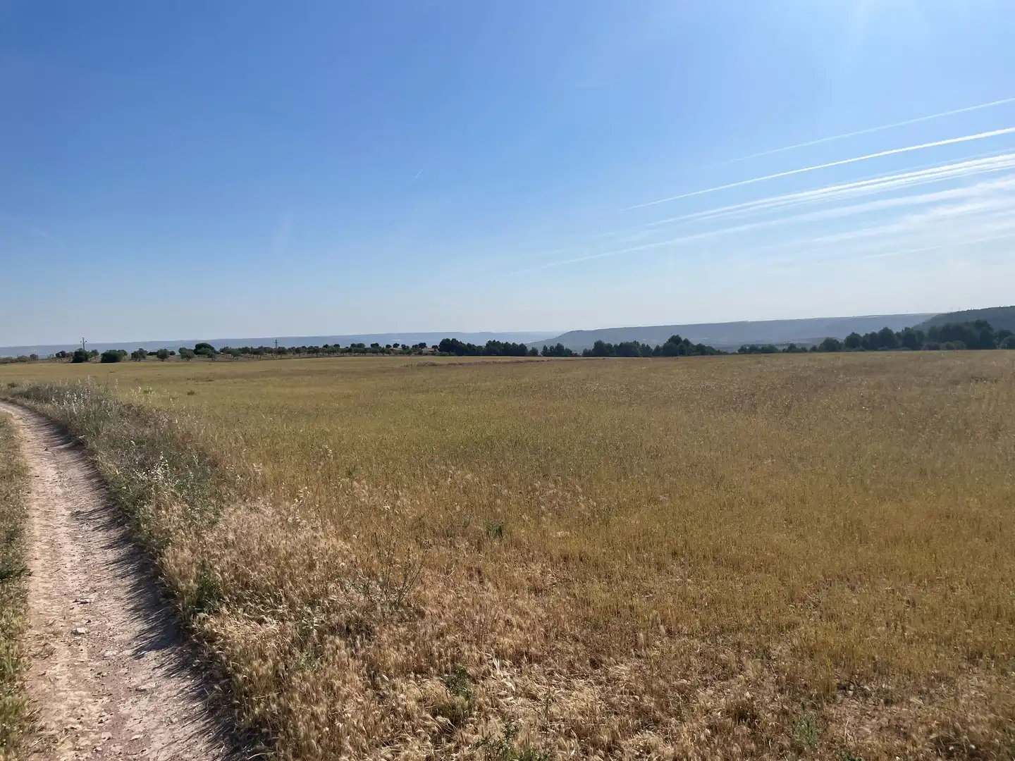 Terreno rustico in vendita a Ontígola, imagen 7