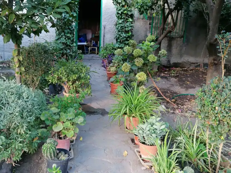 Jardí de Casa o xalet en venda en Ohanes amb Terrassa i Balcó