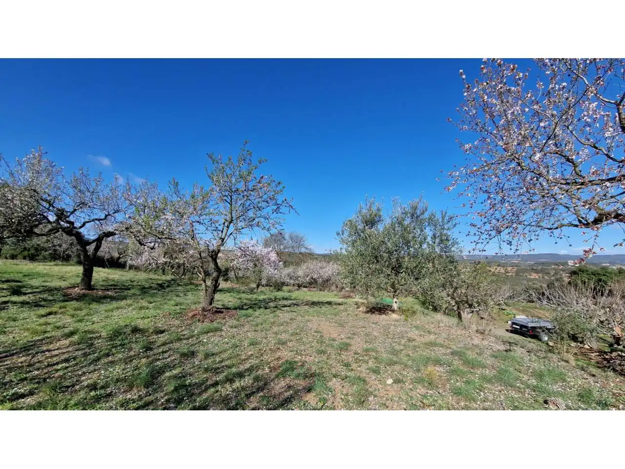 Houses for sale in Vimbodí i Poblet  with Heating, Private garden and Swimming Pool