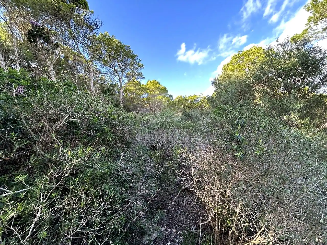 Rural land for sale in Cala Morell, imagen 4