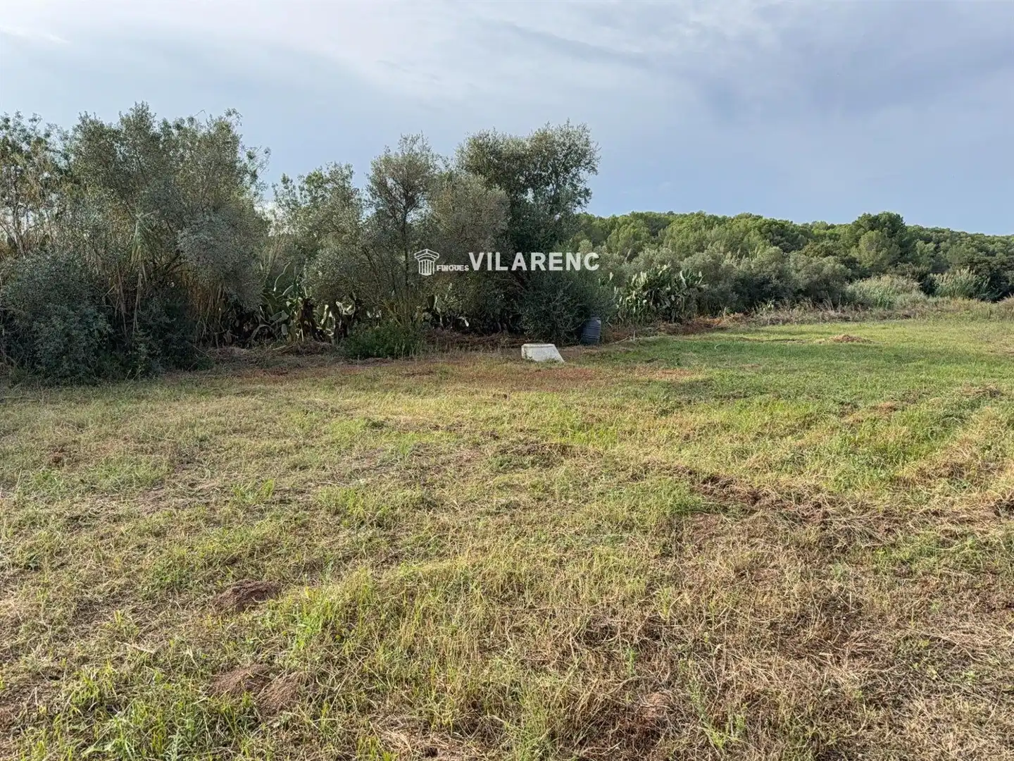 Rustikales Grundstück zum Verkauf in La Riera de Gaià, imagen 11