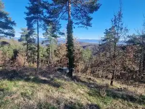 Residential land for sale in Carrer de l'Estany 408, imagen 14