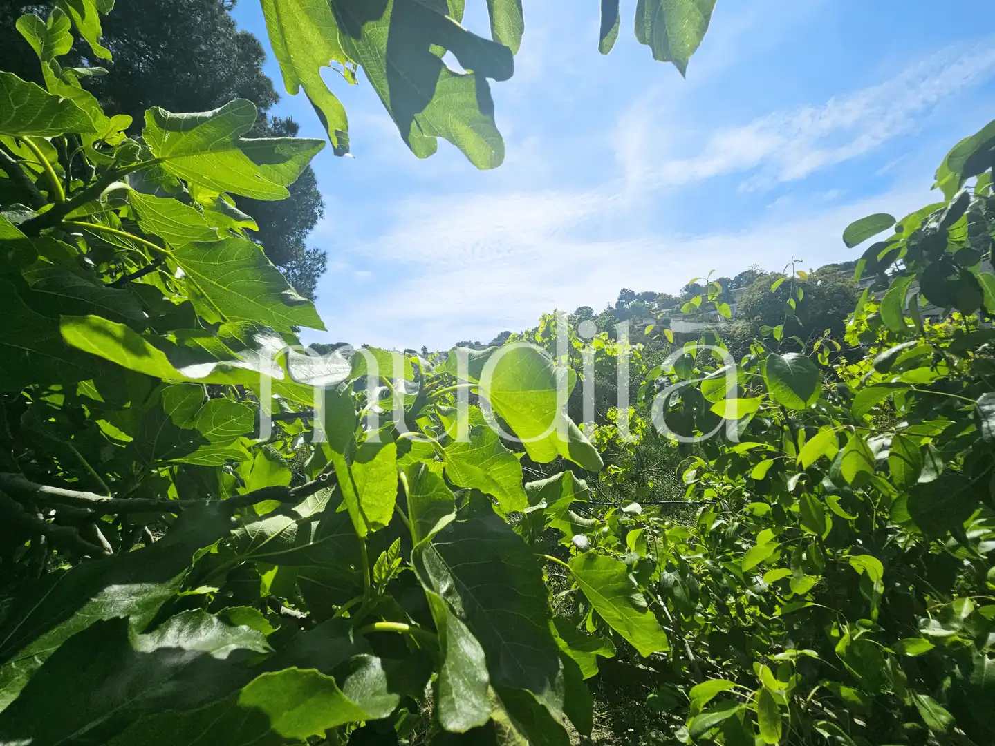 Terreno residencial en venta en Joan Maragall i Gorina, imagen 10