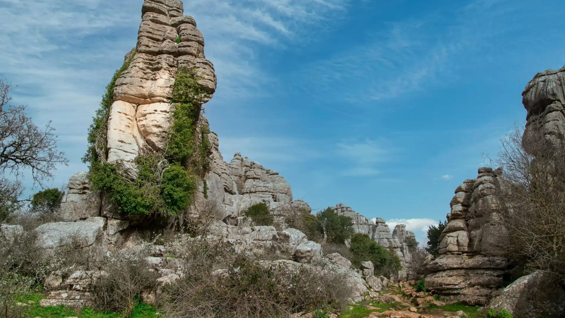 Vista exterior de Piso en venta en Antequera