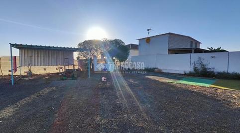 Foto 3 de Finca rústica en venta en Los Palacios y Villafranca, Sevilla