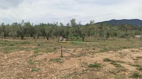 Foto 3 de Casa o xalet en venda a Travessera Carrer Sant Llorenc, Alcover, Tarragona