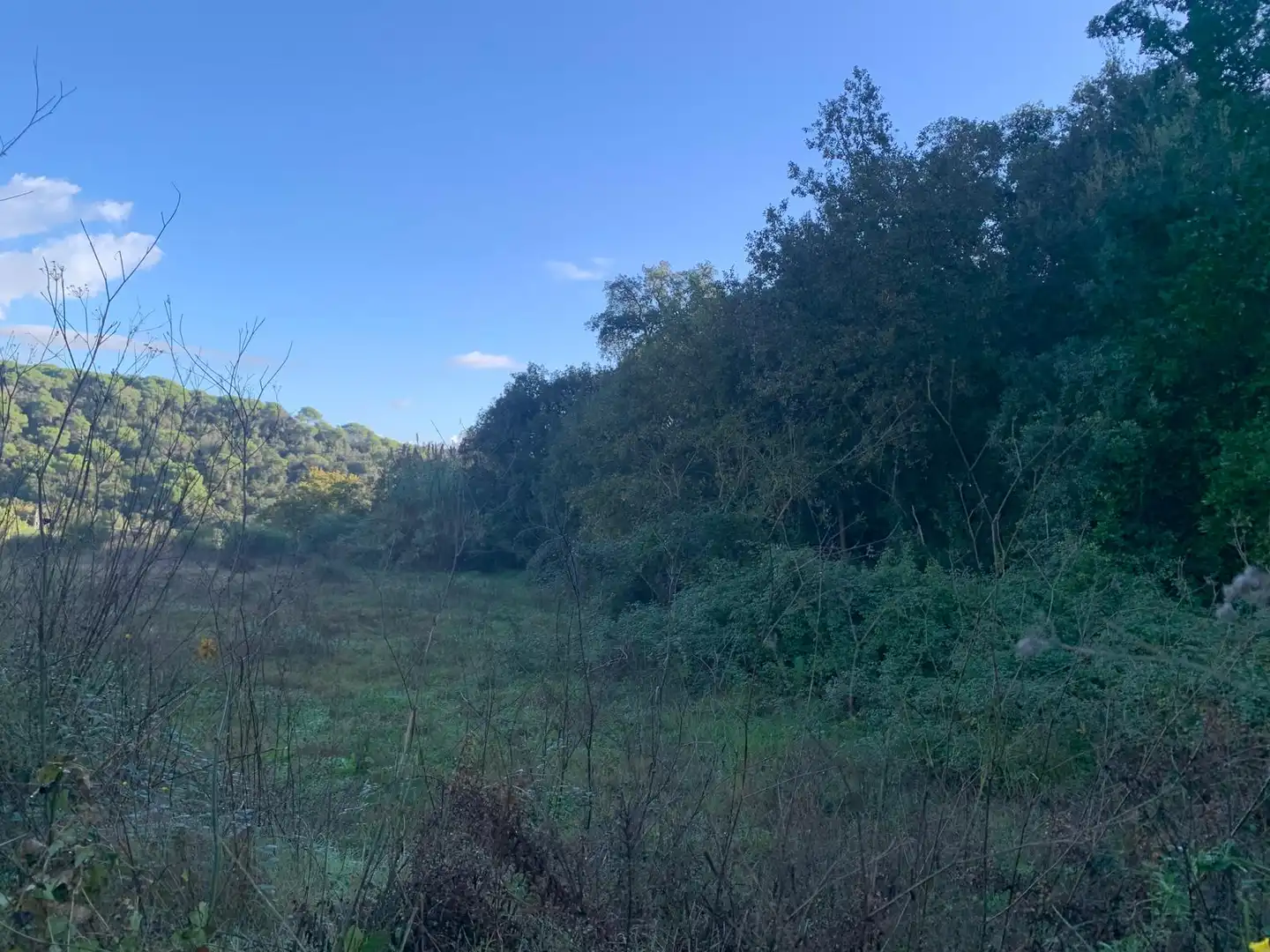 Terreno residencial en venta en Carrer del Xaloc 25, imagen 10