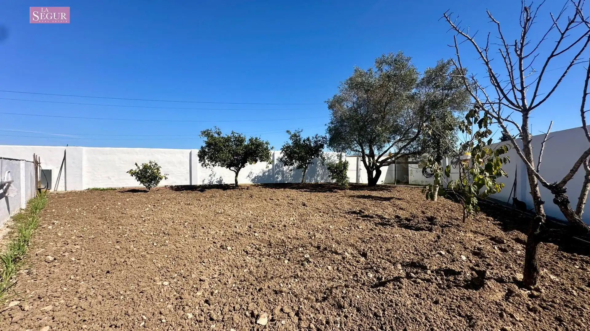 Casa o xalet en venda en Conil de la Frontera amb Jardí privat, Terrassa i Piscina