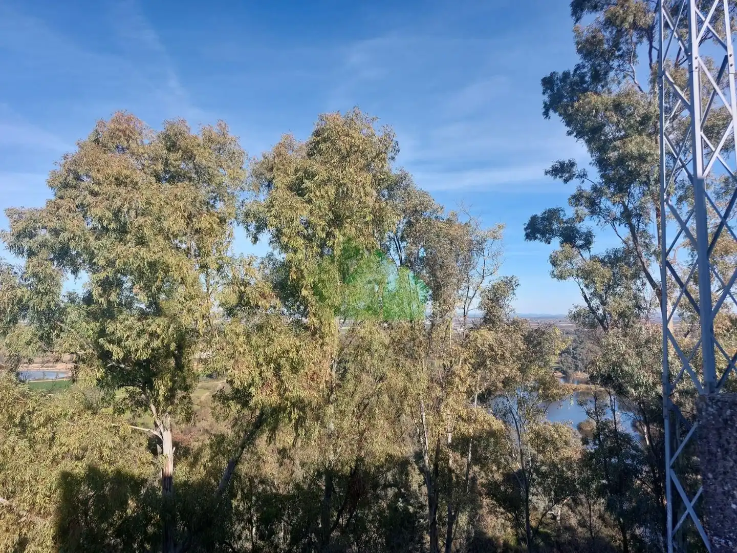 House for sale in CASTILLO 24, imagen 5