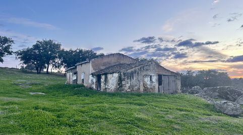 Foto 4 de Finca rústica en venta en Poligono 6 Parcela 366, San Vicente de Alcántara, Badajoz
