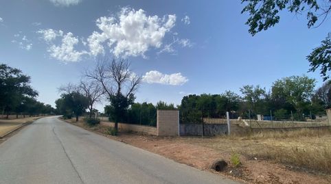 Finca Rúst. en venta en Membrilla., imatge 2
