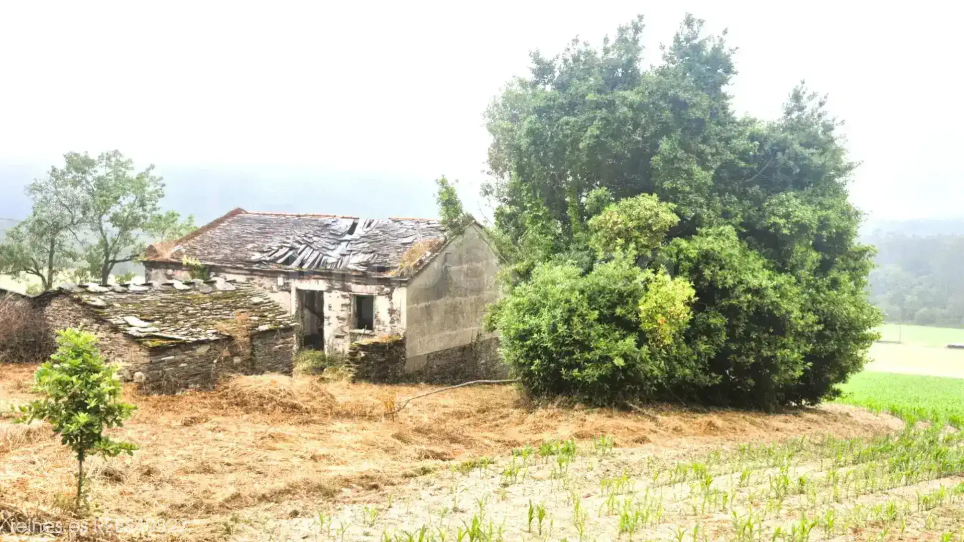 Casa o xalet en venda en Trabada amb Jardí privat