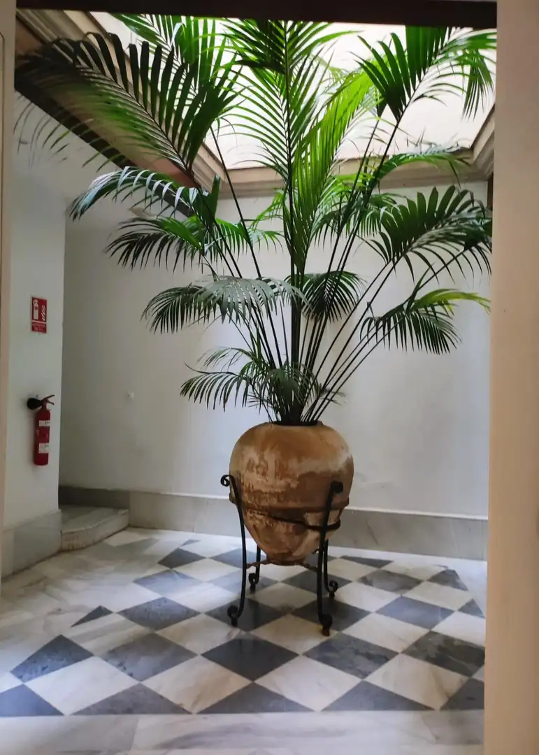 Jardí de Planta baixa en venda en Cádiz