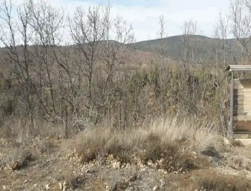 Terreno en venta en El Royo  