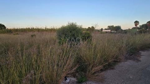 Photo 3 of Land for sale in L'Almadrava - L'Estanyó, Alicante