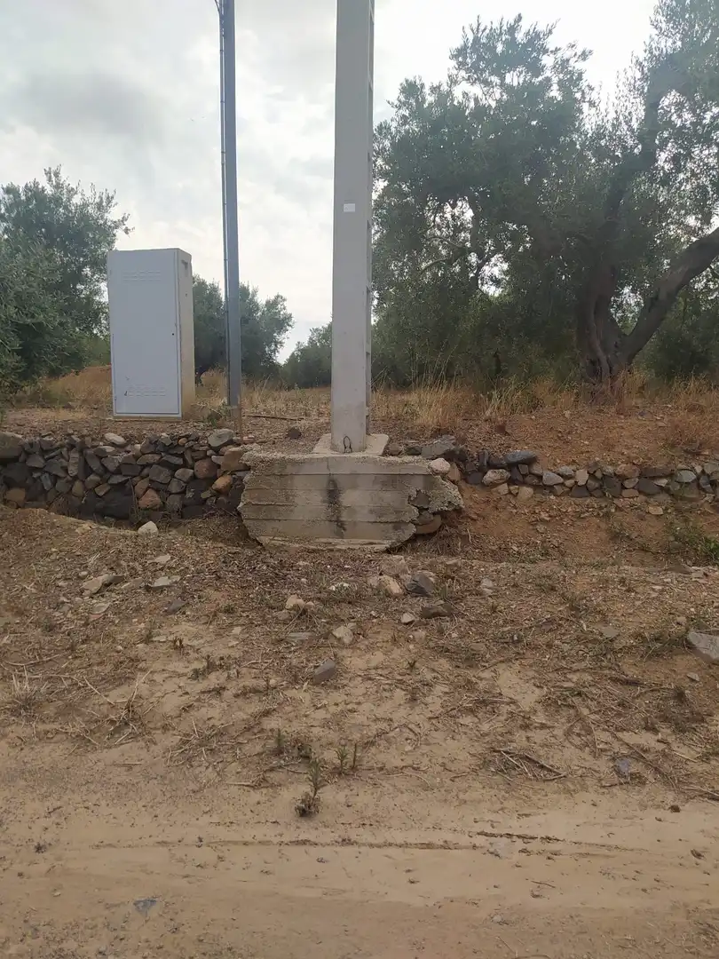 Terreny rústic en venda a Montbrió del Camp, imagen 2