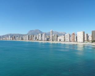 Vista exterior de Pis de lloguer en Benidorm amb Aire condicionat i Terrassa