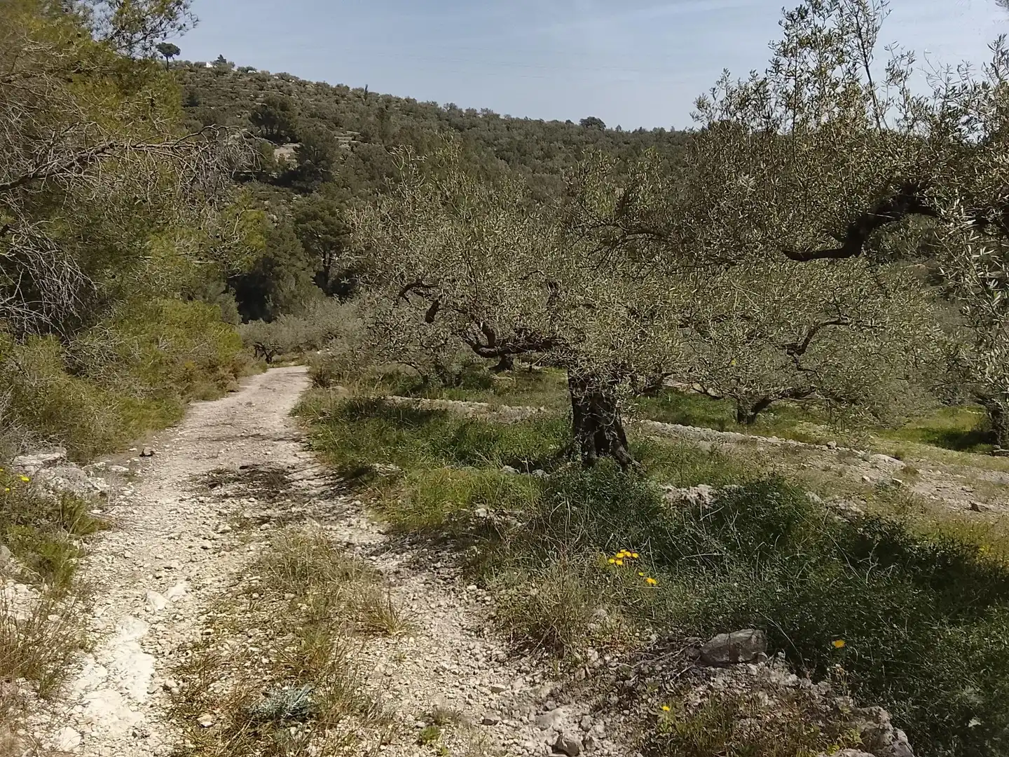 Maison rustique à vendre à Camí de la Finca del Governador, imagen 17
