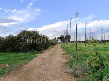 Terreno rustico in vendita a Las Marinas / Les Marines