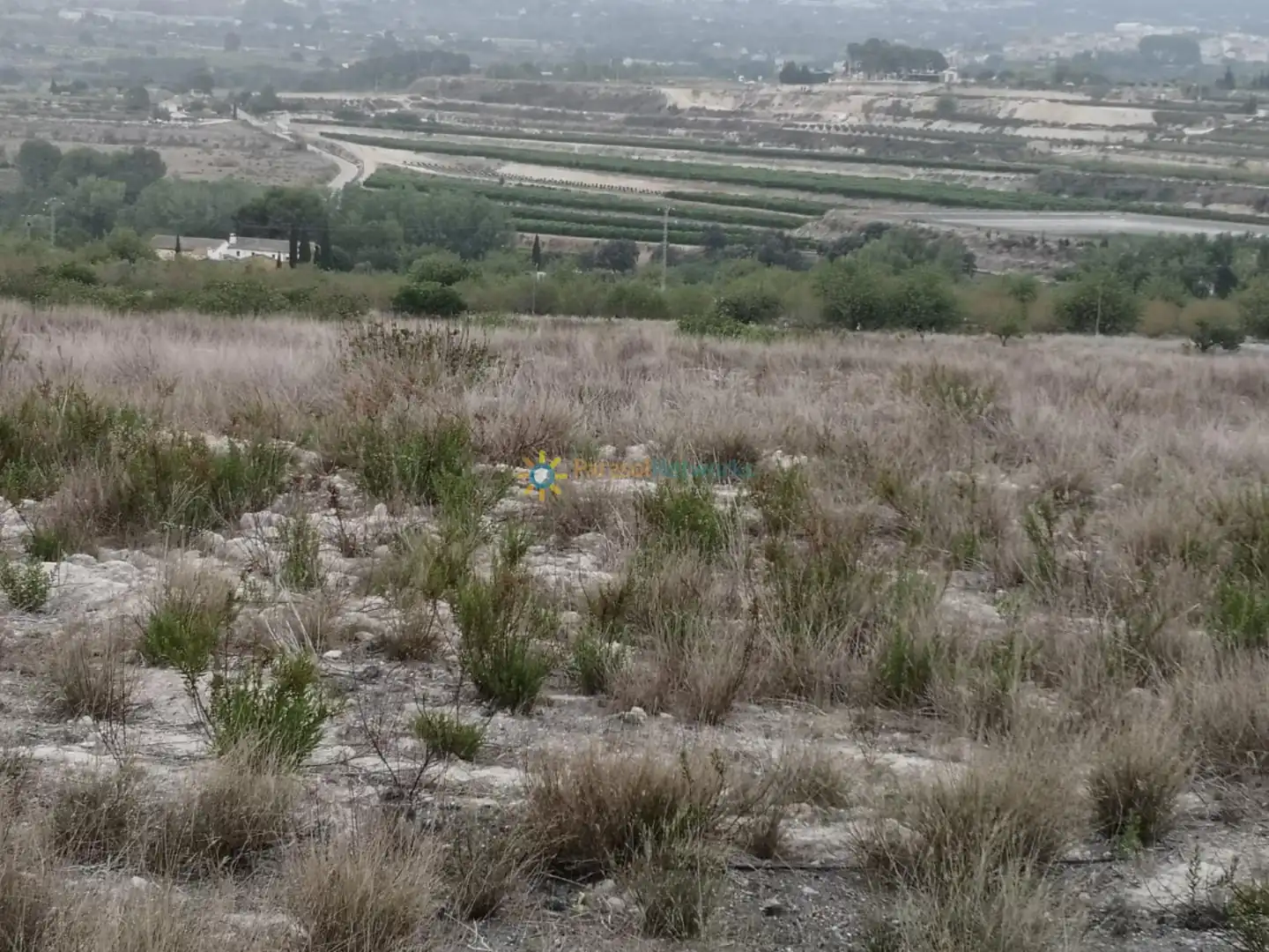 Terreny rústic en venda a Albaida, imagen 4