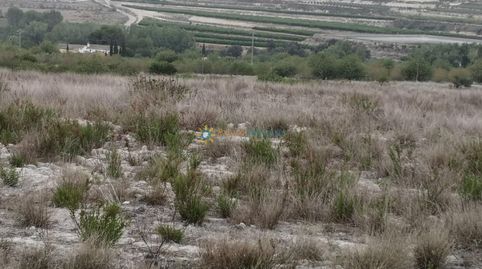 Parcela rústica en venta en Albaida, imagen 4