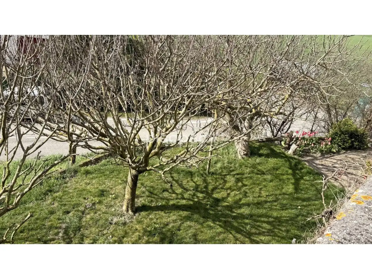 Jardí de Finca rústica en venda en Ezcabarte amb Calefacció