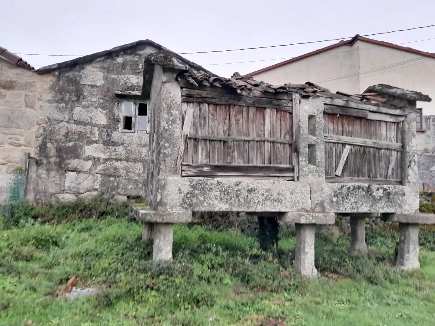 Vista exterior de Casa o chalet en venta en Covelo con Jardín privado