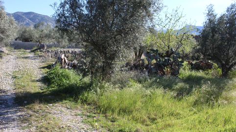 FINCA RÚSTICA DE 568 M2 EN EL ROMERAL, immagine 3