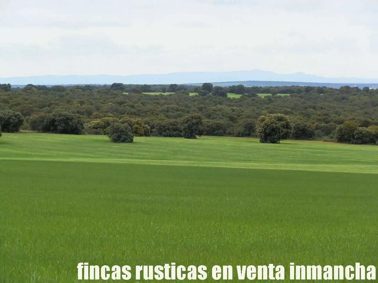 Terreno rustico in vendita a Ruidera, imagen 14