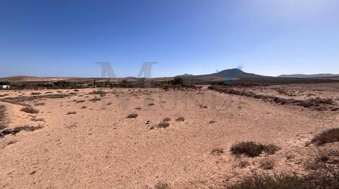 Photo 5 of Land for sale in  Polígono 6 Parcela 227 Rosa Vieja. la Oliva (las , Vejer, Cádiz