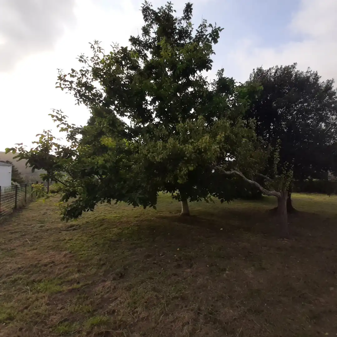 Casa o xalet en venda en Mañón amb Jardí privat, Parquet i Moblat