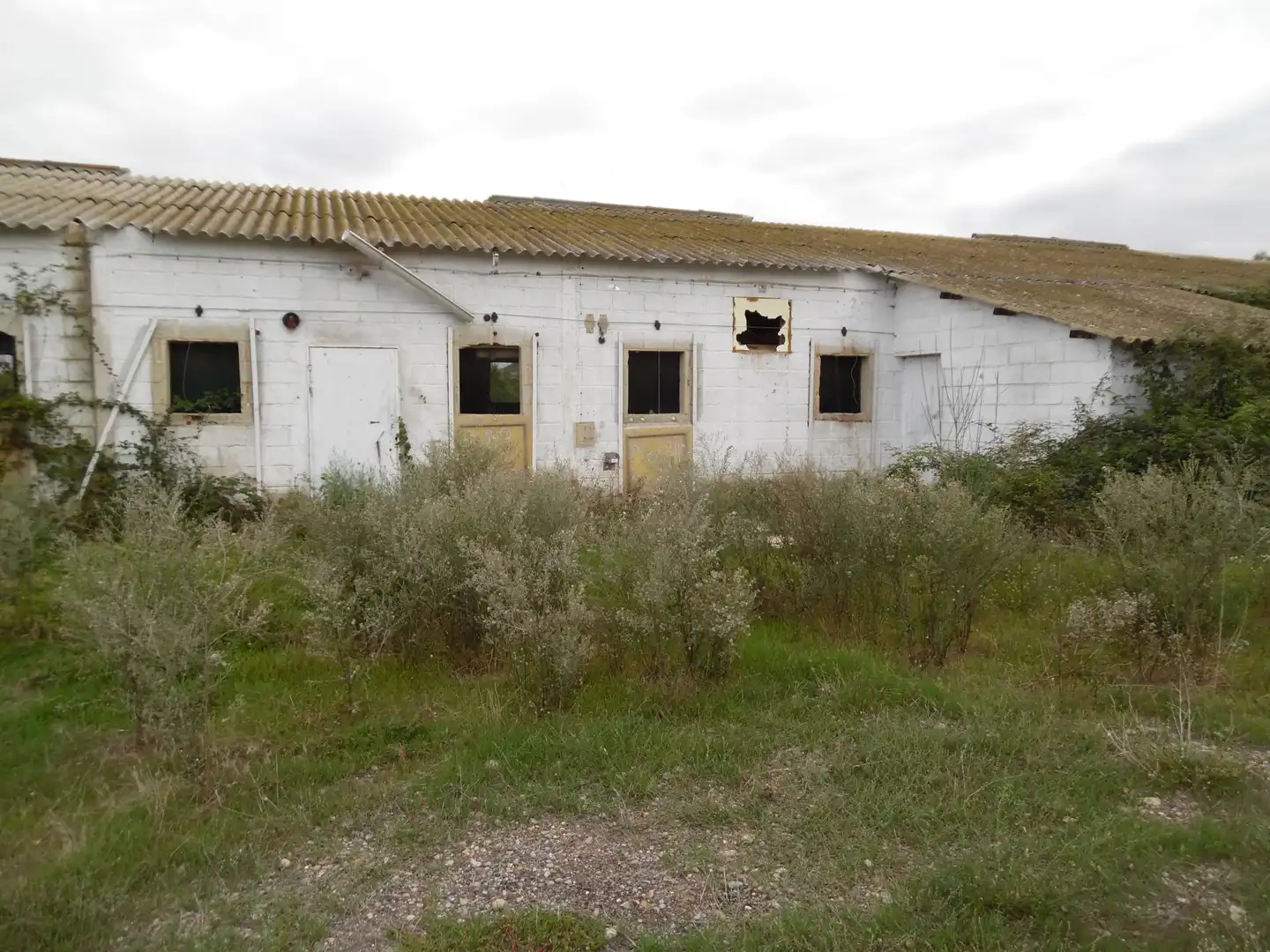 Nave industrial in vendita a PR EL SOLANO, imagen 7