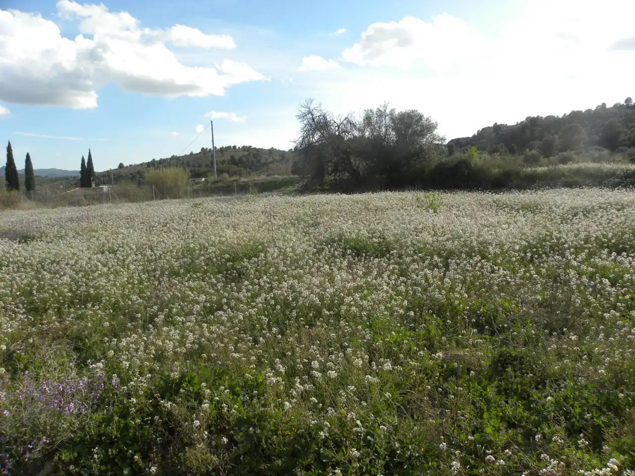 Residencial en venda en Caravaca de la Cruz